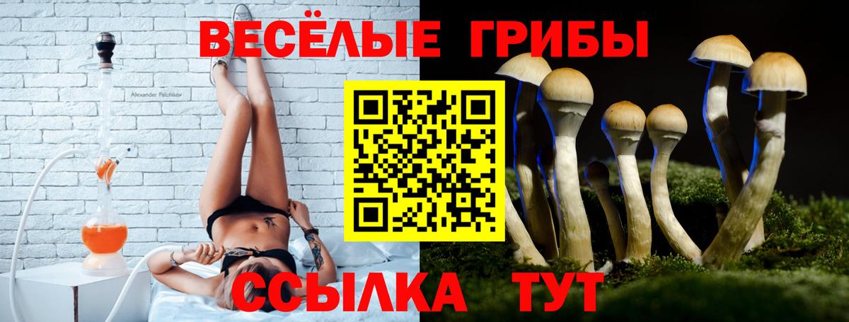 Псилоцибиновые грибы мицелий  Галлюциногенные грибы Magic Shrooms  Вход с VPN  Мыски 